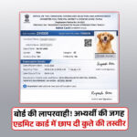 Bihar Civil Court Admit Card 2026 Error में एडमिट कार्ड में कुत्ते की फोटो